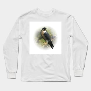 Falcon Long Sleeve T-Shirt